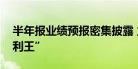 半年报业绩预报密集披露 立讯精密暂居“盈利王”