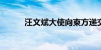 汪文斌大使向柬方递交国书副本