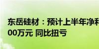 东岳硅材：预计上半年净利润6200万元至6800万元 同比扭亏