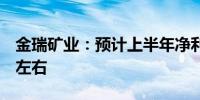 金瑞矿业：预计上半年净利同比增长76.29%左右