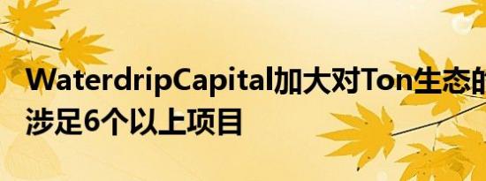 WaterdripCapital加大对Ton生态的投资 已涉足6个以上项目