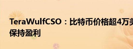 TeraWulfCSO：比特币价格超4万美元时可保持盈利