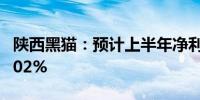 陕西黑猫：预计上半年净利同比下降524%-602%