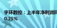 宇环数控：上半年净利润同比预降75.31%-80.25%