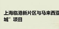 上海临港新片区与马来西亚赛城启动“数字双城”项目