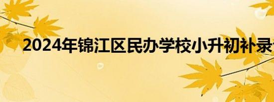 2024年锦江区民办学校小升初补录公告