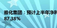 雅化集团：预计上半年净利润下降91.58%至87.38%