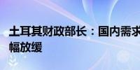 土耳其财政部长：国内需求极有可能进一步小幅放缓