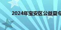 2024年宝安区公益夏令营怎么报名