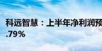 科远智慧：上半年净利润预增106.83%至152.79%