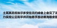 土耳其总统埃尔多安在北约峰会上会见了泽连斯基表示土耳其将继续努力实现公正和平并开始着手推动黑海粮食倡议的复兴工作