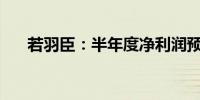 若羽臣：半年度净利润预增34%-74%