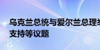 乌克兰总统与爱尔兰总理举行会谈 讨论对乌支持等议题