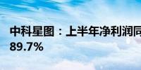 中科星图：上半年净利润同比预增55.73%—89.7%