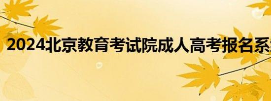 2024北京教育考试院成人高考报名系统入口