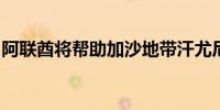 阿联酋将帮助加沙地带汗尤尼斯修复供水管道