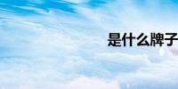 是什么牌子