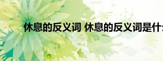休息的反义词 休息的反义词是什么