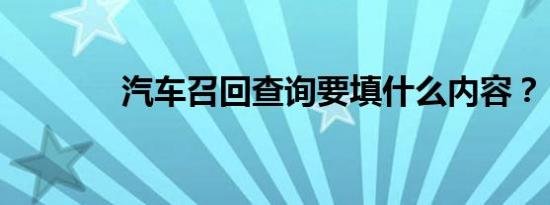 汽车召回查询要填什么内容？