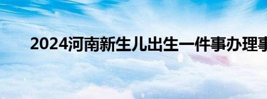 2024河南新生儿出生一件事办理事项