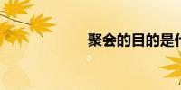 聚会的目的是什么