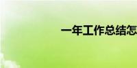 一年工作总结怎么写