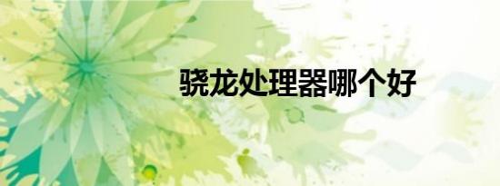 骁龙处理器哪个好