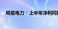 明星电力：上半年净利同比下降16.63%
