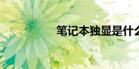 笔记本独显是什么意思