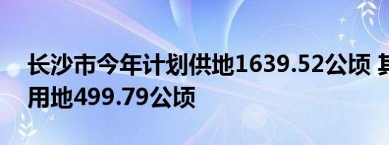 长沙市今年计划供地1639.52公顷 其中住宅用地499.79公顷