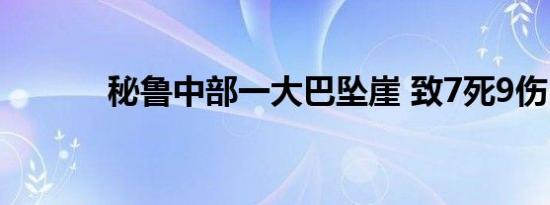 秘鲁中部一大巴坠崖 致7死9伤