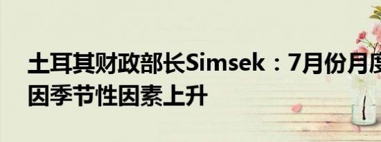 土耳其财政部长Simsek：7月份月度通胀将因季节性因素上升