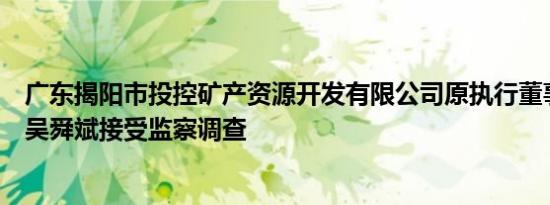 广东揭阳市投控矿产资源开发有限公司原执行董事、总经理吴舜斌接受监察调查