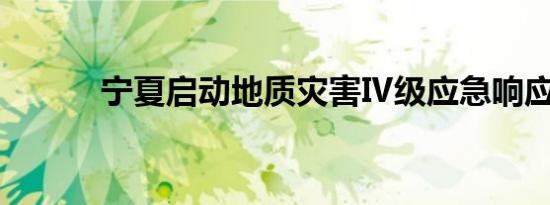 宁夏启动地质灾害Ⅳ级应急响应