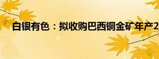 白银有色：拟收购巴西铜金矿年产2万吨