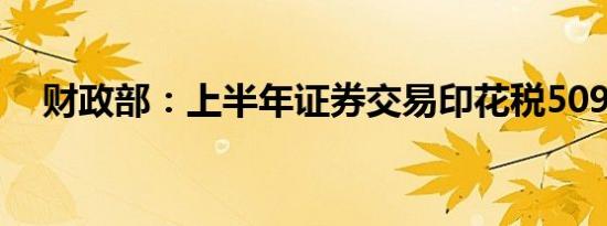 财政部：上半年证券交易印花税509亿元