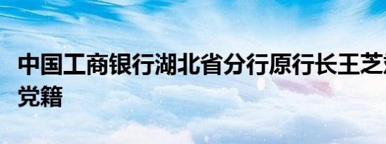 中国工商银行湖北省分行原行长王芝斌被开除党籍