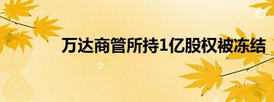 万达商管所持1亿股权被冻结