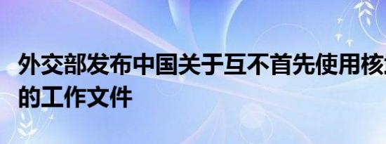 外交部发布中国关于互不首先使用核武器倡议的工作文件