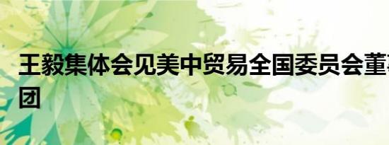 王毅集体会见美中贸易全国委员会董事会代表团