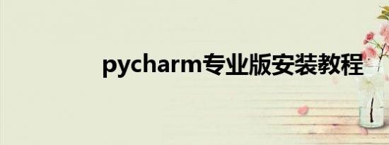 pycharm专业版安装教程