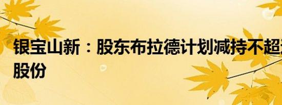 银宝山新：股东布拉德计划减持不超过1.80%股份