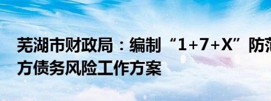 芜湖市财政局：编制“1+7+X”防范化解地方债务风险工作方案