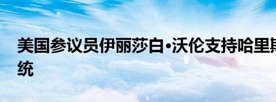 美国参议员伊丽莎白·沃伦支持哈里斯竞选总统