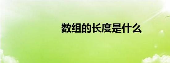 数组的长度是什么