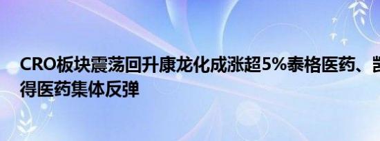 CRO板块震荡回升康龙化成涨超5%泰格医药、凯莱英、毕得医药集体反弹