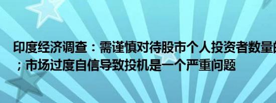 印度经济调查：需谨慎对待股市个人投资者数量的显著增加；市场过度自信导致投机是一个严重问题