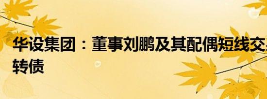 华设集团：董事刘鹏及其配偶短线交易公司可转债