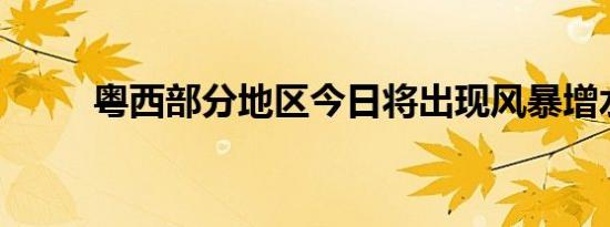 粤西部分地区今日将出现风暴增水