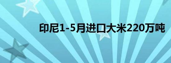 印尼1-5月进口大米220万吨